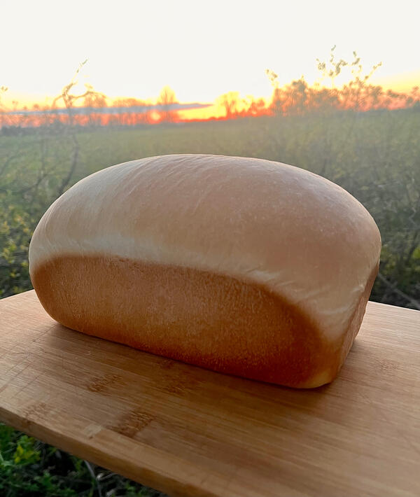 White Sandwich Bread